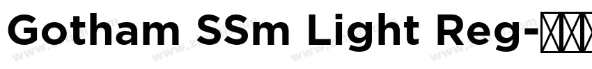 Gotham SSm Light Reg字体转换